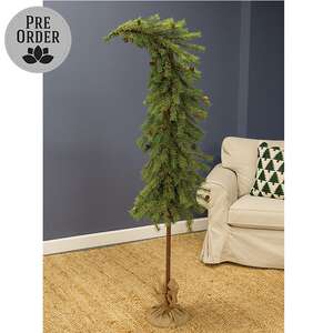 Bendable Luxemburg Pine Tree With Burlap Base - 6 Ft.