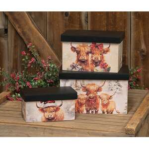 3 Set - Christmas Highland Cows Stacked Boxes
