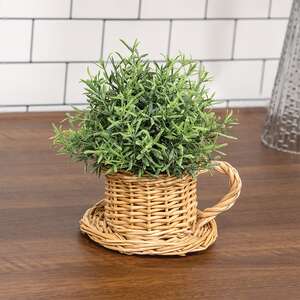 Dusty Rosemary Half Sphere - 5-1/2 In