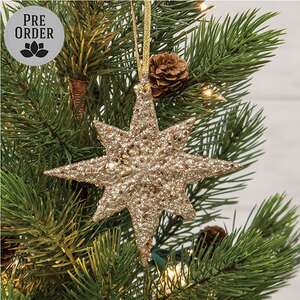 Champagne Sparkle Star Ornament
