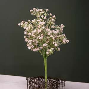 Blushing Blessed Clover Spray - 17 In