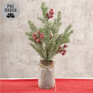 Icy Memories Mixed Pine & Berries Spray In Jar