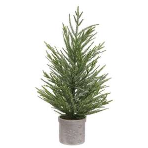 Potted Winter Dreams Fine Pine Tree - 24"H