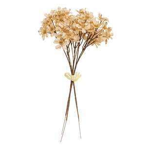 Golden Brushed Cosmos Bundle - 14" - Champagne