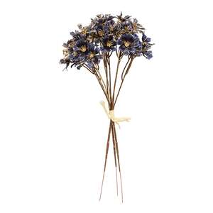 Golden Brushed Cosmos Bundle - 14" - Navy