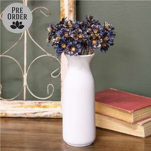 Golden Brushed Cosmos Bundle - 14" - Navy