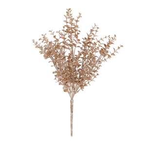 Sugar Plum Baby Eucalyptus Bush - 14"