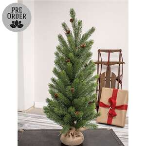 Soft Touch Balsam Fir Tree With Burlap Base - 36"