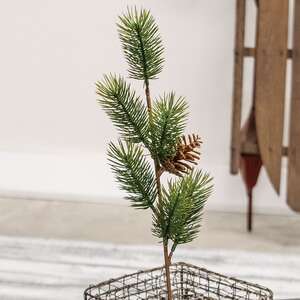 Soft Touch Balsam Fir Pick - 15"