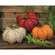 Large Burlap Pumpkin, 3 Asstd.