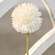 Pompom Stem, White;