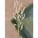 White Heather Spray -