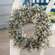 Pebble Eucalyptus Bush, 14"