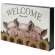 Piggies and Sunflowers Box Sign #35373