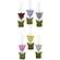 6/Set, Springy Tulip Ornaments