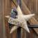 Simplify Star With Crow Ornament   #CS37935