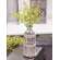 #BB9A1233 Graywash Willow Wrapped Glass Bottle, 6.5"H