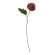 #17903 Pompom Flower Stem, 14", Red