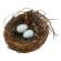 #17913 Angelvine Birdnest With Eggs, 4.5"