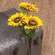 Bright Yellow Sunflower Spray, 25"