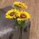 Bright Yellow Sunflower Spray, 25" #15013