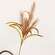 #17994 Brown Pampas Spray