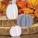 White & Gray Chunky Pumpkin Sitters, 3/set 35513;