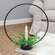 Halo Taper Holder, Large 14499B;