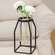 Glass Tube Vase w/Metal Frame, Wide 14501A;