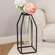 Glass Tube Vase w/Metal Frame, Thin 14501B;