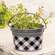 Black & White Buffalo Check Oval Pail 14584-B;
