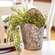 Metal Wall Planter 54151;