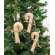 Christmas Stripe Fabric Candy Cane Ornaments, 3 Asstd. #CS38278