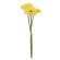 Triple Gerbera Daisy Bouquet, Light Yellow #18117