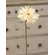 Gerbera Daisy Stem, Cream Pink