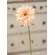 Gerbera Daisy Stem, Peach #18119