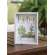 Home Is Where Love Grows Inset Box Sign, 3 Asstd. #35734