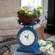Vintage Navy Old Town Scale Clock 75028;