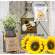 Bee Happy Mustard Check and Burlap Pillow Hanger #CS38307