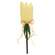 Yellow Stripe Tulip Stake