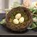 Vine & Moss Bird Nest w/Cream Eggs, 5.5" 18146