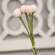 Pink Billy Ball Bouquet 18152;