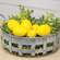 Mini Lemon Fillers, 8/Pkg 18154;