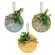 Our Nest Round Sign Ornament w/Greenery, 3 Asstd.