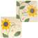 Buzzillion Blessings Square Plates, 2 Asstd.