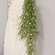 Eden's Gate Hanging Vine FFG3152;