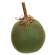 Primitive Mossy Green Pumpkin, 5" #CS38467