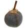 Primitive Mossy Gray Pumpkin, 5" #CS38469