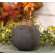 Primitive Mossy Gray Pumpkin, 5" #CS38469