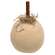 Primitive Mossy Natural Pumpkin, 5"